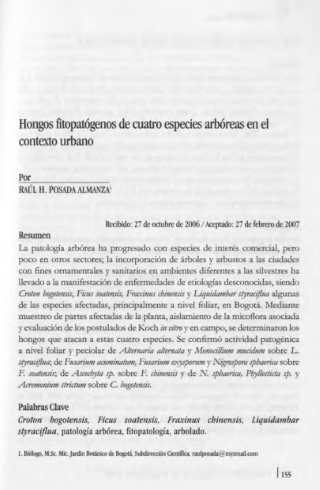 Portada artículo PA_No_17_2006 Hongos fitopatógenos de cuatro especies arbóreas en el contexto urbano