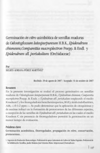 Portada artículo PA_No_18_2007 Geminación in vitro asimbiótica de semillas maduras de Odontoglossum luteopurpureum H.B.K., Epidendrum chioneum, Comparettia macroplectron Poepp. & Endl. y Epidendrum aff. portakalium (Orchidaceae)