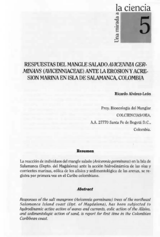 Portada artículo PA_No_10_Respuestas-mangle-salado_R.Alvarez