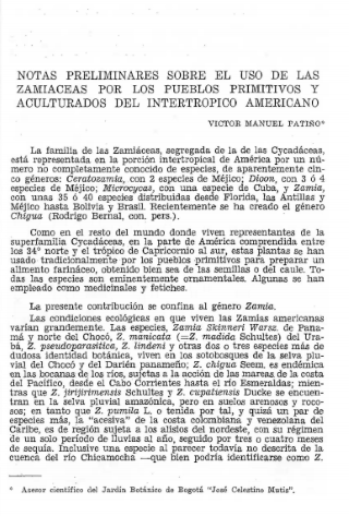 Portada artículo PA_No_8_1989 Notas preliminares sobre el uso de las Zamiáceas por los pueblos primitivos y aculturados del intertrópico americano