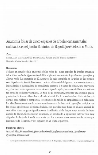 Portada artículo PA_No_13_2002 EAnatomía foliar de cinco especies de árboles ornamentales cultivados en el Jardín Botánico de Bogotá José Celestino Mutis