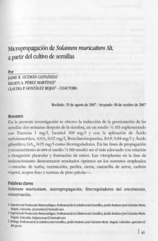 Portada artículo PA_No_18_2007 Micropropagación de Solanum muricatum Alt. a partir del cultivo de semillas