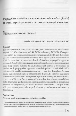 Portada artículo PA_No_18_2007 Propagación vegetativa y sexual de Saurauia scabra (Kunth) D.Dietr., especie promisoria del bosque neotropical montano